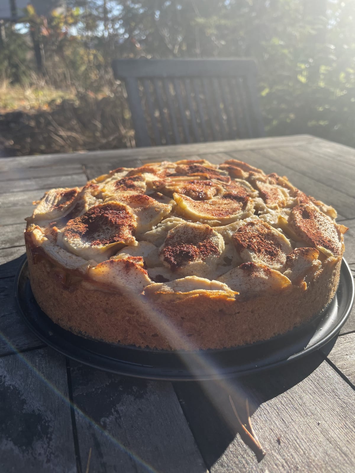 Ein Bild von einem Apfelkuchen im Sonnenlicht. Der Kuchen steht auf einem Holztisch. Im Hintergrund sieht man einen Stuhl und ein bisschen Wald.