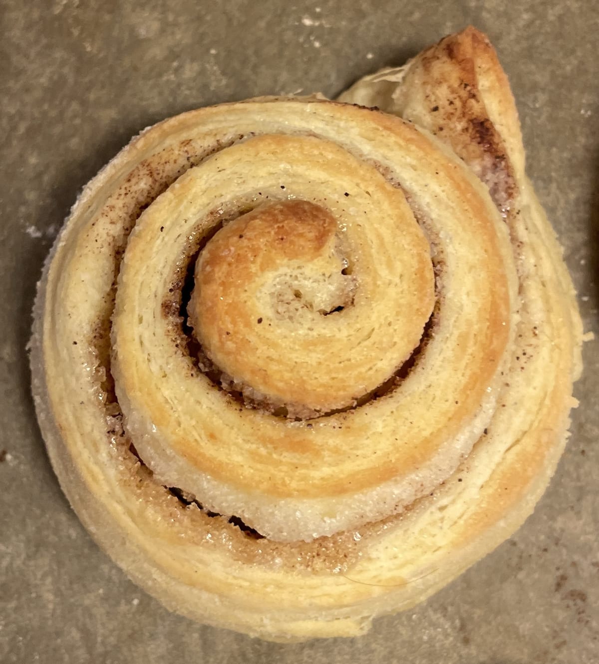 Norwegische Kanelsnurrer