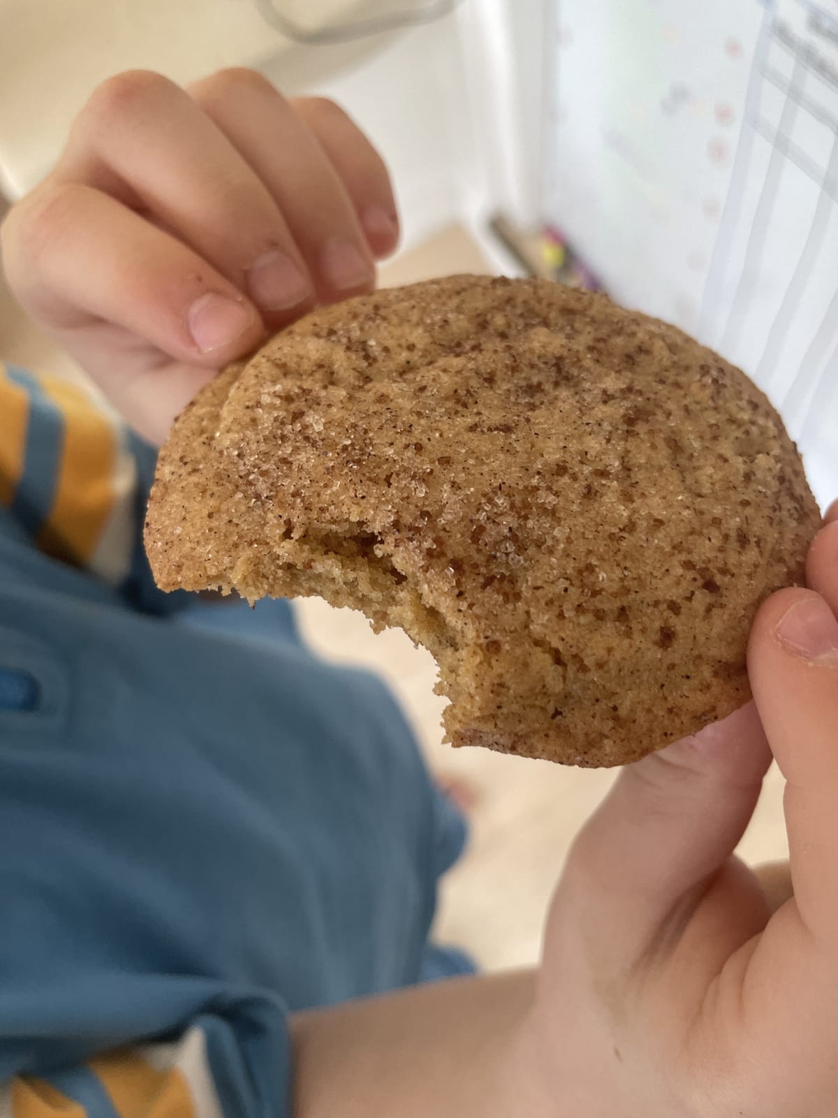 Churro-Cookies