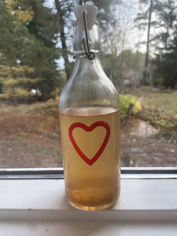 Ein Bild von einer Glasflasche. In der Flasche ist eine Braun/Gelbe Flüssigkeit. Auf der Flasche ist ein rotes Herz gemalt. Im Hintergrund sieht man aus einem Fenster in einen Garten. 