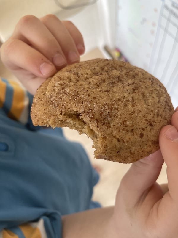 Churro-Cookies